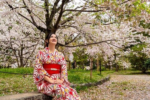 Sakura Season Photoshoot Experience in Kyoto