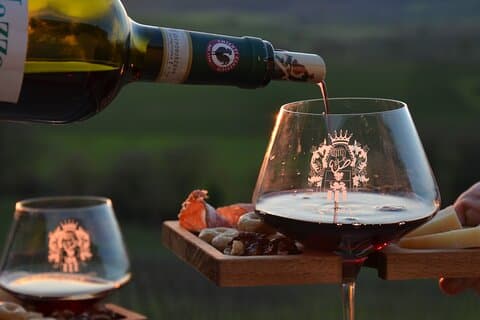 Vingårdstur med panoramisk aperitiff i Chianti