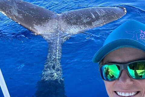 2 ore pomeriggio Lahaina Whale Watch