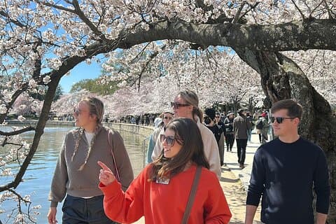 Celebrate 250th: National Mall Tour + Washington Monument Tickets