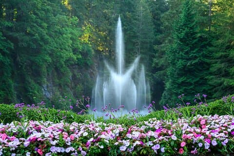 Victoria en Butchart Gardens, een verhoogde ervaring