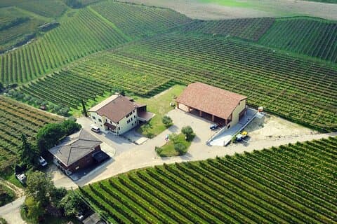 Cata de vinos con visita a bodega entre Verona y Lago de Garda
