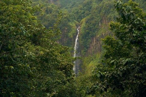 Explore Materuni Waterfalls and Coffee 1 Day Tour