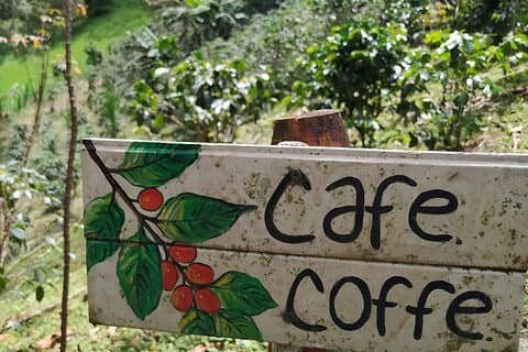 Gedeelde koffietour in Medellin met gratis koffie