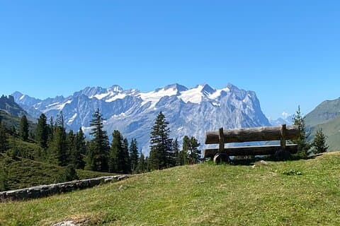 Via Alpina 8 dagars guidad vandringstur i schweiziska Alperna