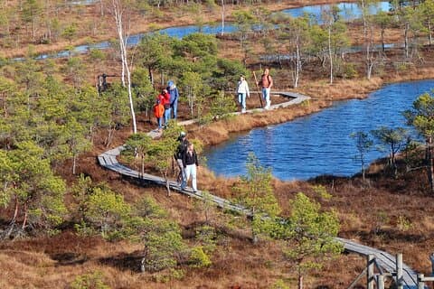 From Riga: Ķemeri National Park & Baltic Coast