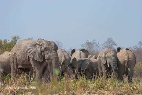 4 Days Adventurous Wildlife Safari