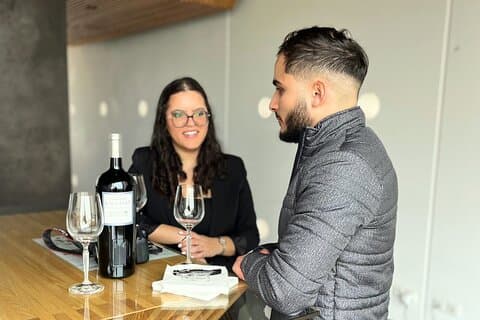 Tour individuale del vino di un'intera giornata a Saint Emilion