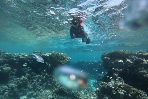 Private Snorkeling Experience in Aqaba Red Sea