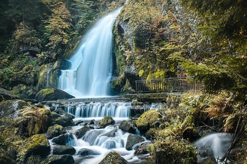 Private day trip from Frankfurt to Black Forest and Baden-Baden