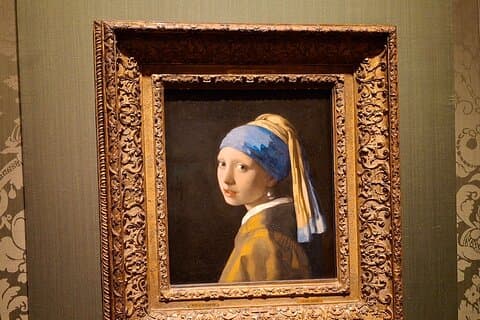 Private Guided City Tour of The Hague & Mauritshuis Museum Entry