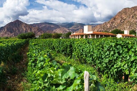 4-Day Salta: Humahuaca Valley & Cafayate Wineries