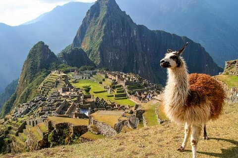 16-dagers Latin-Amerika tur fra Peru til Brasil