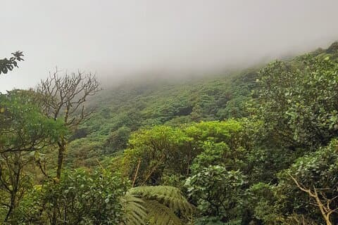 Mombacho Volcano Clouded Forest Trail and Ziplining