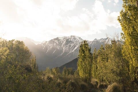 Maipu or Lujan de Cuyo Wineries Visiting Mendoza by Private Sedan