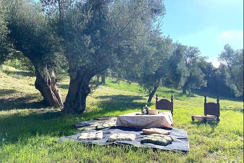 Probieren Sie Trüffel, Wein & Aperitif in der malerischen Landschaft von Matera