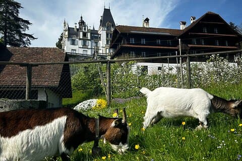 Karta över Luzern
