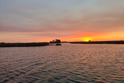 Excursion en bateau le long de la Ria Points forts