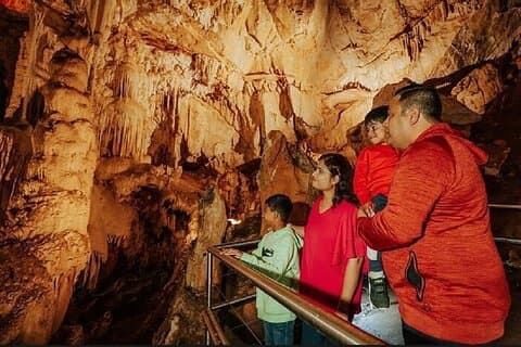 Wombeyan Caves: Besøk Fig Tree Cave