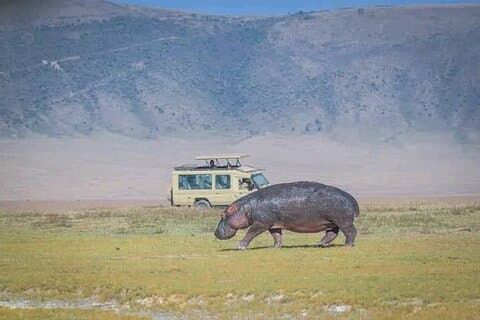 5 Tage Private Safaris in Serengeti, Ngorongoro Krater & Tarangire