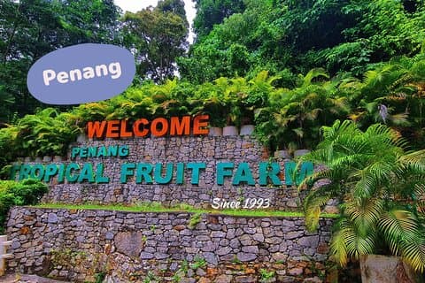 Visite de la ville d'une demi-journée à Penang, y compris la ferme de fruits tropicaux