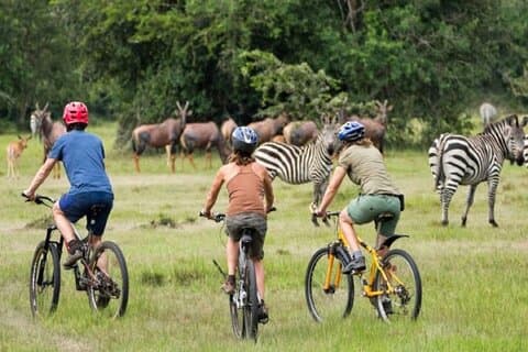2 dagen Lake Mburo fietservaring