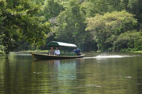 Amazon River and Monkey Island Day Tour