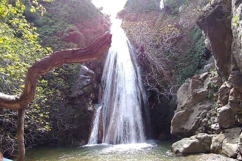 Richti Waterfall, OliveTasting, NorthCoast, História, Azorias,
