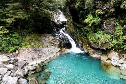 9 Day South to North Island NZ Private Tour from Queenstown