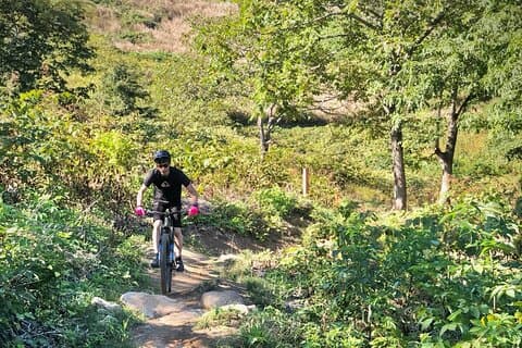 Niseko Mountain Biking Tour