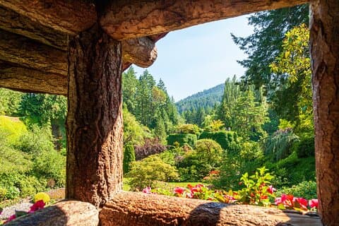 Excursión de un día a Victoria y Butchart Gardens desde Vancouver