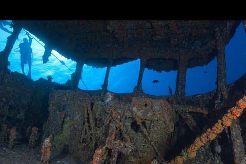 Waikikis Premire Shore Dive mit einem PADI Profi