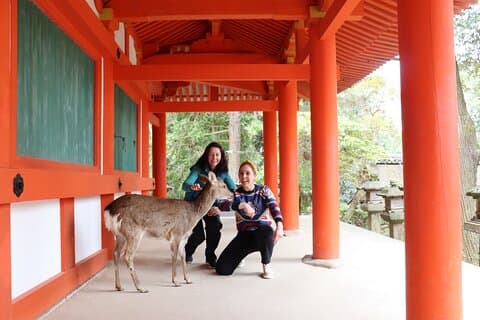 Tour privado por Nara y degustación de sake (Salida desde Kyoto/Nara)