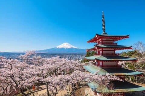 Mt fuji & Hakone visite d'une journée personnalisable avec chauffeur anglophone
