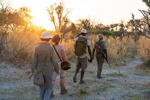 Safari à pied dans la brousse du parc Kruger | Pickup & Dropoff Marloth Park