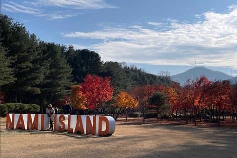 De Seúl a Nami Island Alpaca World y Everland con conductor