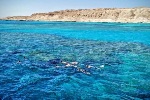 Porto de Sharm el Sheikh: Ras Mohammed viagem de snorkeling