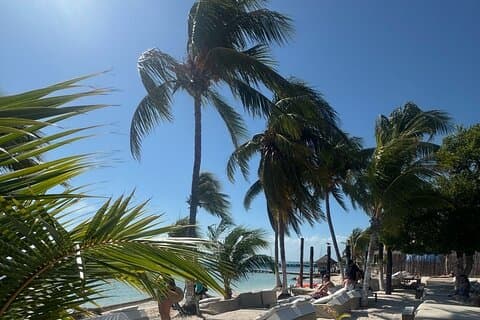 Excursion à Isla Mujeres Plus avec buffet de plongée et bar ouvert