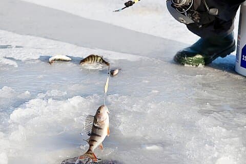 Experiencia de pesca en hielo junto al lago