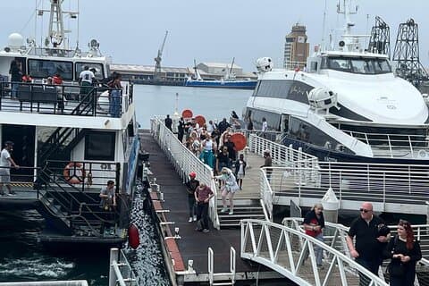 ロベン島へのプライベートチャーターボート(ガイド付き)