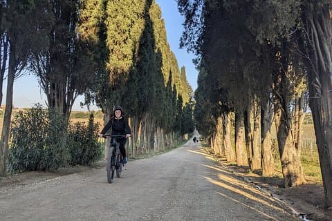 Roma: Excursión en bicicleta por el viñedo de Frascati con billetes de tren