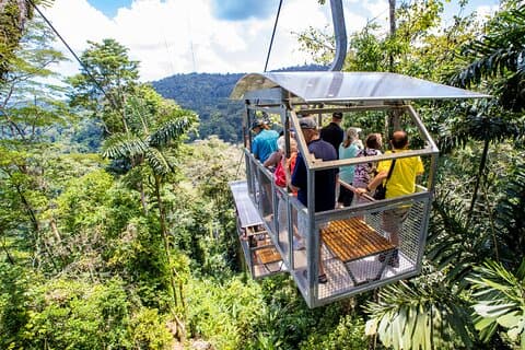 Sky Gondola y Rutas en Veragua Rainforest