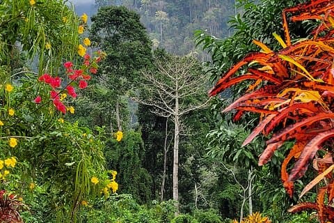 6 day Finca Adventure Tour