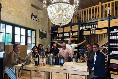 Kasteel van Saint Emilion en wijntour door het dorp
