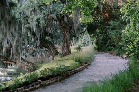 Magnolia Plantation Day Tour con trasporto