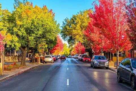 Il fascino di Hahndorf e colline Tour di un giorno