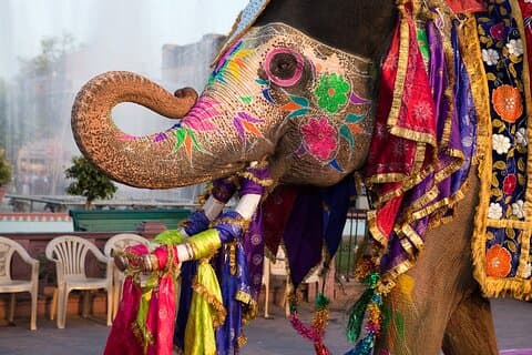 Privat flerdagers Golden Triangle Tour fra India