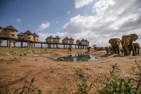 ディアニ発ソルトリックロッジ＆タイタヒルズ2日間プライベートサファリ