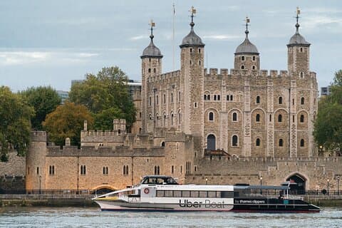 Londra: Crociera sul Tamigi Express e tour audio digitale