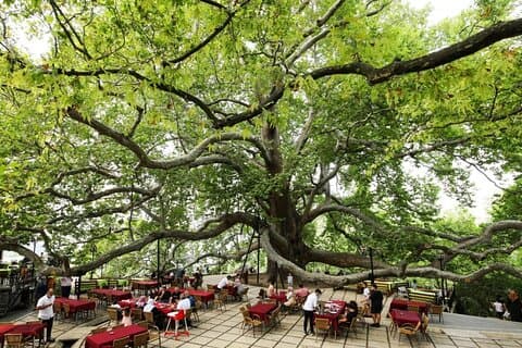Bursa and Uludağ Tour from İstanbul with Lunch & Cable Car